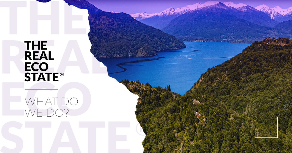 The Real Eco State | What we do